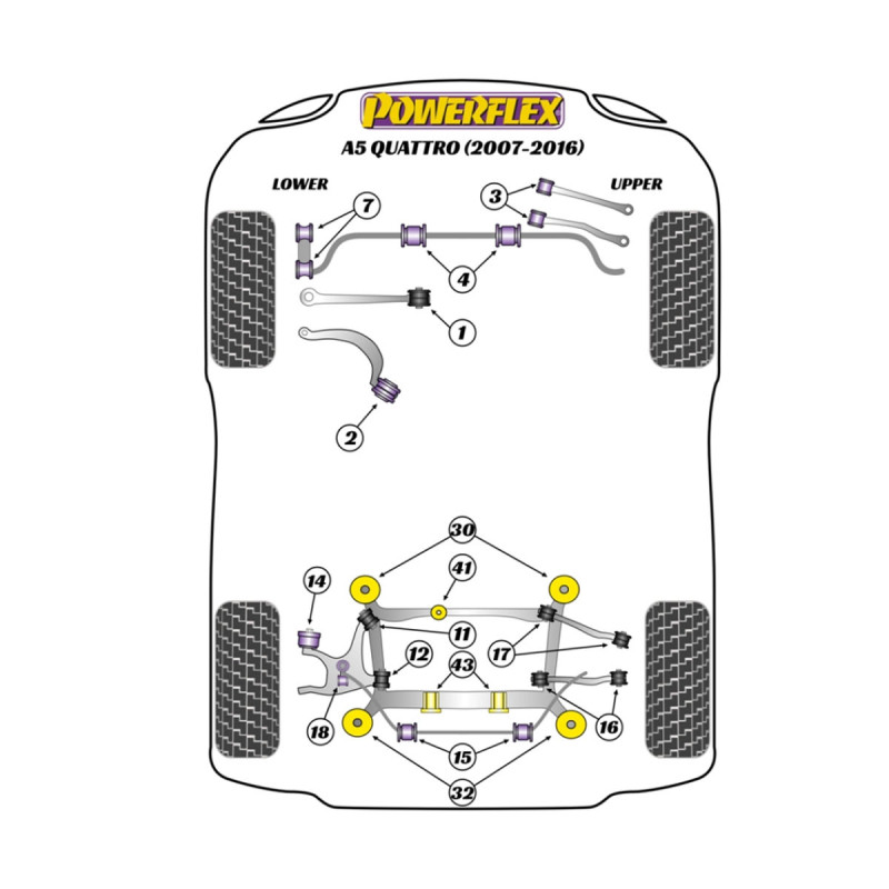 Silent Bloc Powerflex Audi A5 Quattro (2007-2016)Array