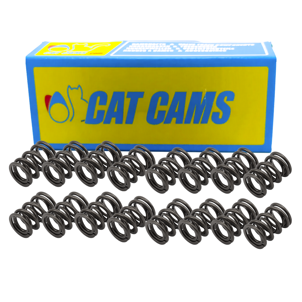Kit de molas de válvulas Cat Cams Opel / Renault Clio 16SArray