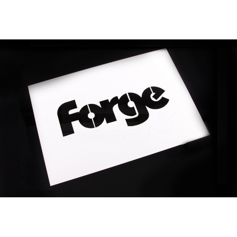 Modelo com o logótipo ForgeArray