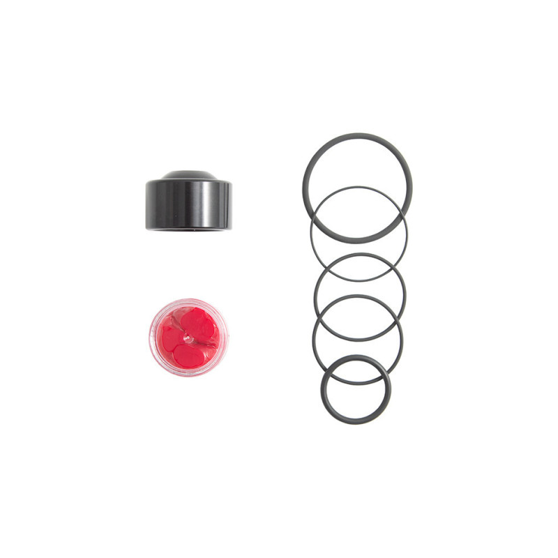 Kit de reparação da válvula turbo Forge para FMDVCS14RArray