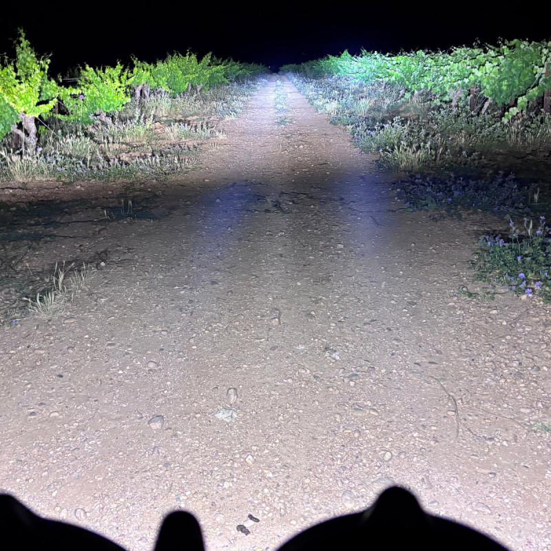 Lámpara LED PIAA LPM163A Motorsport de largo alcanceArray