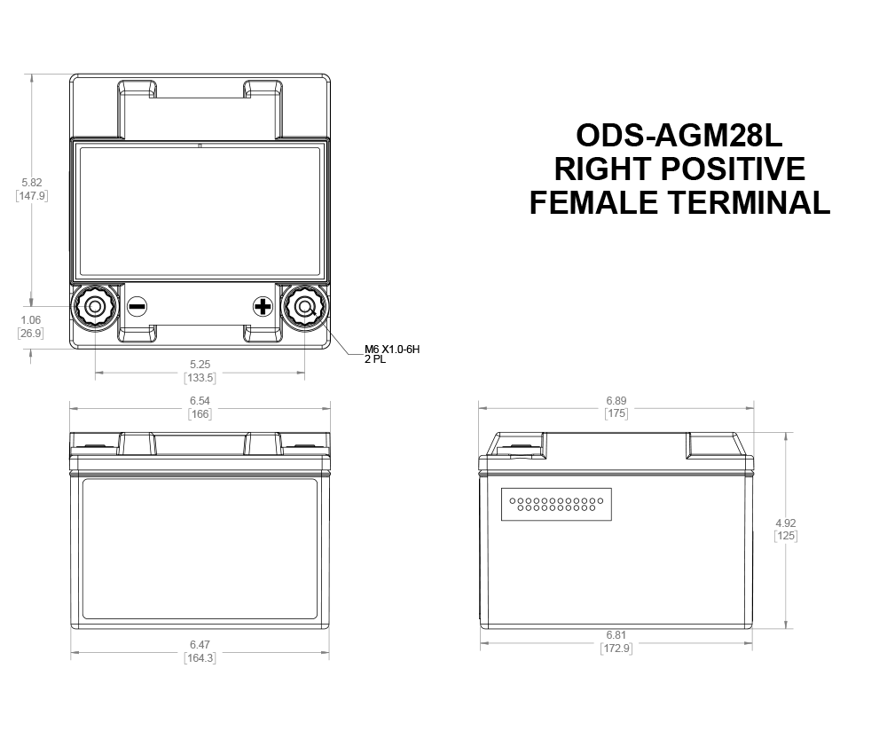 Batería de competición AGM Odyssey Extreme PC925 ODS-AGM28L 28 Ah 925 PHCAArray