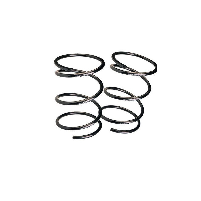Kit Muelle Suspensión Eibach Citroën Saxo 16s -45mmArray