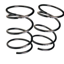 Kit de molas de suspensão Eibach Citroën Saxo 16s -45mm