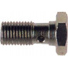 Tornillo Banjo Goodridge M12X150 Alu