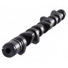 Eixo de comando de válvulas CATCAMS para citroen 4 cilindros 1.9L 8v SOHC XU9J2 (D6A) 295°-295°,250°-250°,12.00mm-12.00mm,3.15mm
