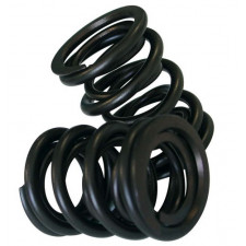 kit Muelle de Válvula CAT CAMS Exterior Clio RS