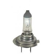 Lâmpada / Lâmpada H7 100W 12V
