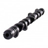 CATCAMS árbol de levas para Renault Clio 2 RS 304° F4R730 Meca (par)
