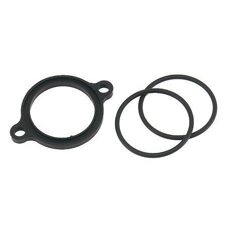 Brida Flexible para Weber 40 (La pareja 2)