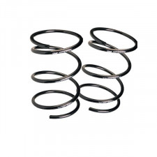 Kit Muelle Eibach Volkswagen Polo (6R) 1.6 Tdi/GTi