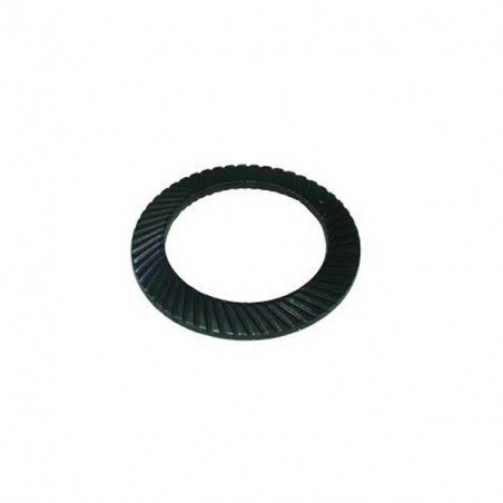 Arandela Schnorr diámetro 6mm