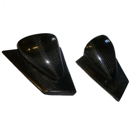 Retrovisor Carbono RENAULT Clio 3 (El par) Retrovisor Carbono RENAULT Clio 3 (El par)