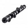 Árbol de levas CATCAMS para citroen 4 cilindros 2.0L 16v DOHC XU10J4RS 258°-258°,221°-221°,10.20mm-10.20mm,1.20mm-0.85mm