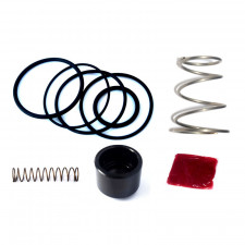 Kit Reparación Válvula de Descarga FMDV001 Forge