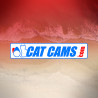 Catcams Venda