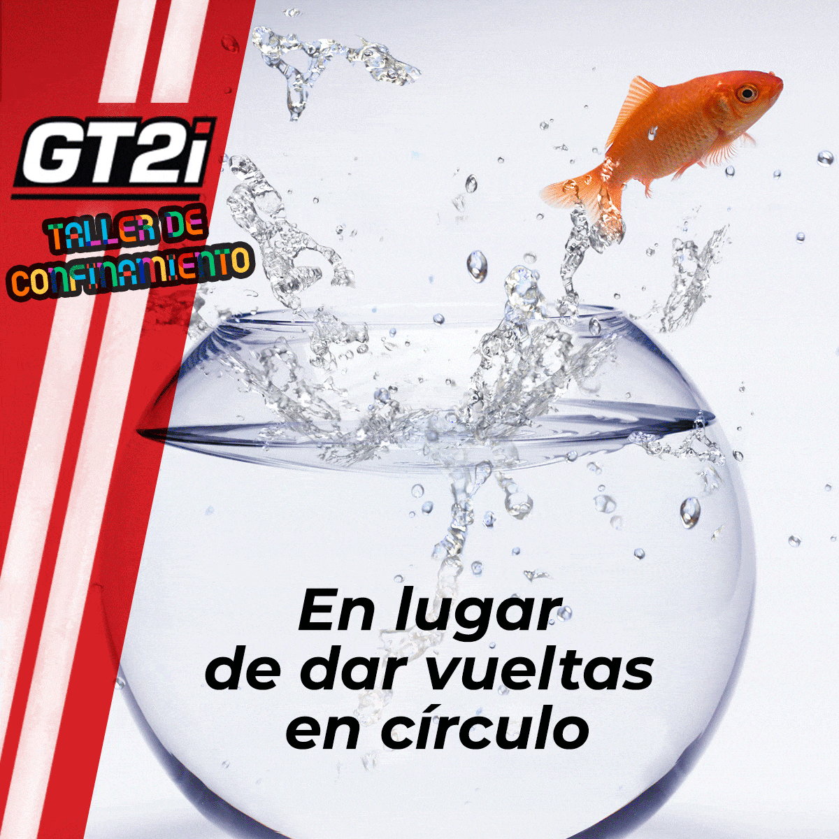 taller confinamiento5