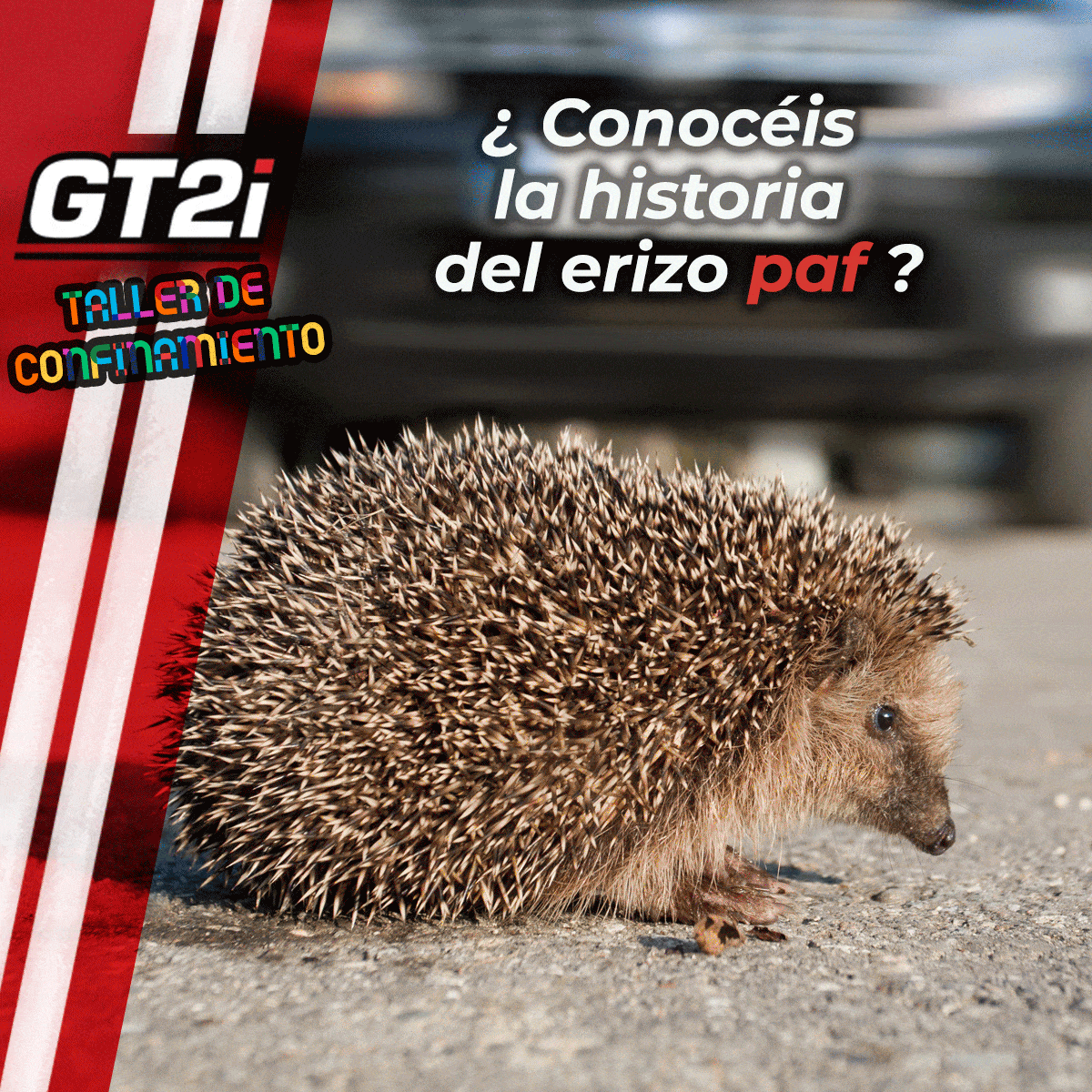 taller confinamiento7