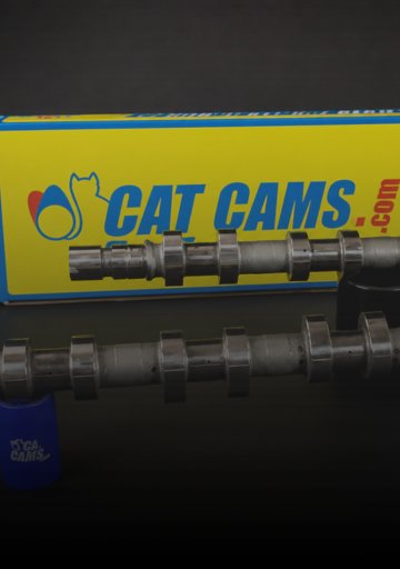 CAT CAMS