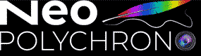 NEO POLYCHRON
