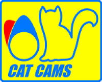 CAT CAMS